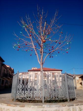 IMG-20171207-WA0039